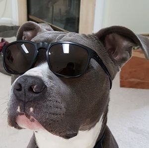 Meet your Posher, Tanious